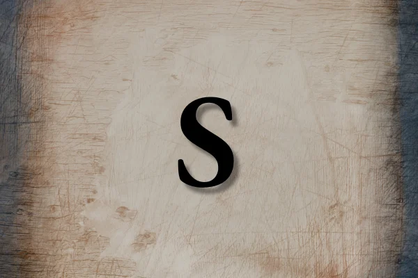 Letra S